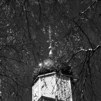 Фотография :: Денис Безногов