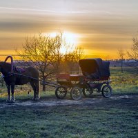 Вечернее :: Сергей Цветков