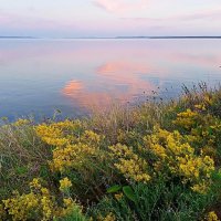 Вечерняя нежность... :: Ирина *