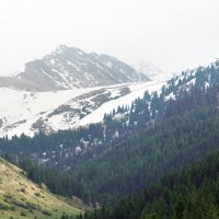 Пасмурно и туманно в горах :: Галина Ильясова