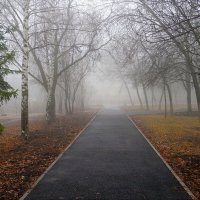 Туманная дорога к Новому году... :: Андрей Заломленков Туманная дорога к Новому году... :: Андрей Заломленков