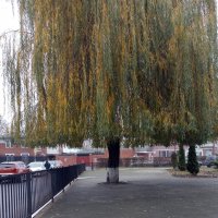 *** :: Валентина Береснева