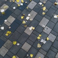 *** :: Валентина Береснева