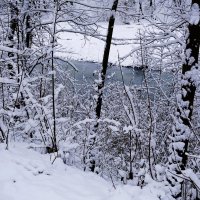 Первый снег :: Рита Симонова Первый снег :: Рита Симонова