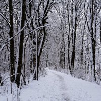 Первый снег :: Рита Симонова