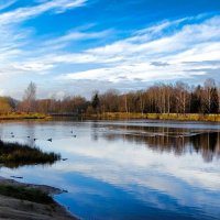Осень во второй половине ноября. :: Милешкин Владимир Алексеевич 