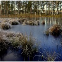 *** :: Aleksandr Gal