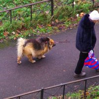 Две старушки... :: Юрий Куликов