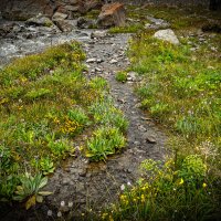 ГОРНЫЕ РУЧЬИ :: HART BAD