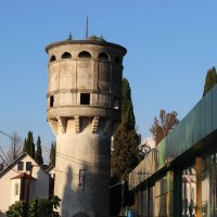 Адлер,Совхоз :: Serega SchütZ