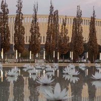 *** :: Игорь Протасов