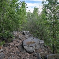 ... :: Сергей Яковлев