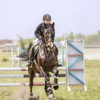 Конкур :: SanSan 