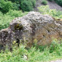 Бегемотик, бегемотик, Ушки, маленький животик. :: Юрий Вовк