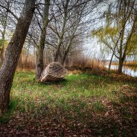 Последний причал :: Ирина 