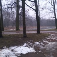 Оттепель :: Сапсан 