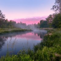 Нерское разнотравье ... :: Roman Lunin