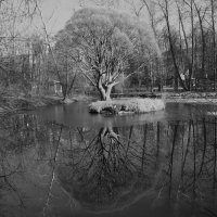 Островок :: Сергей Сергеев Островок :: Сергей Сергеев