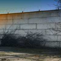 Спрячь за высоким забором... :: Сергей Порфирьев Спрячь за высоким забором... :: Сергей Порфирьев