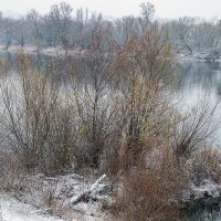 р. Нарев :: Светлана Ищенко