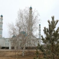 Утро :: Андрей Хлопонин