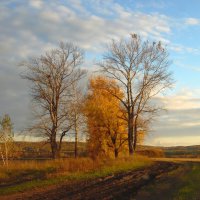 Осенняя картина. :: nadyasilyuk Вознюк