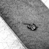 Грусть :: Валерий Иванович