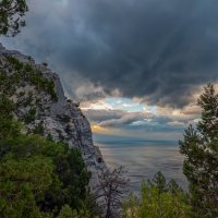 ** :: Виталий Емельянов