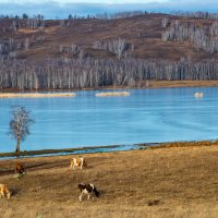 Декабрь на южном Урале :: Петр 