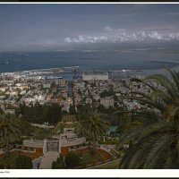 Бахайские Сады в  Хайфе 2025г :: ujgcvbif 