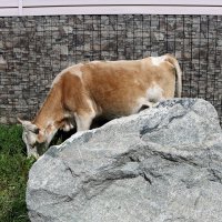 Прогулки по бурятским городкам :: Ольга