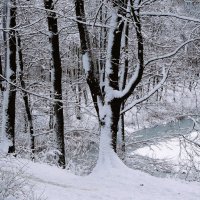 Снежный ноябрь :: Рита Симонова