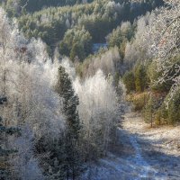 Начало зимы :: Наталья Димова