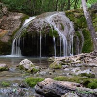 Природа Крыма :: Amazing Cosmea Природа Крыма :: Amazing Cosmea