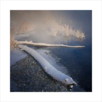 * :: Александр Иванов