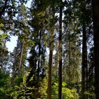 МИХЙЛОВКОЕ. :: Виктор Осипчук