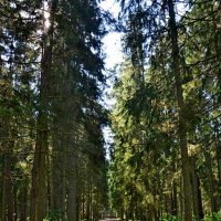 МИХЙЛОВКОЕ. :: Виктор Осипчук