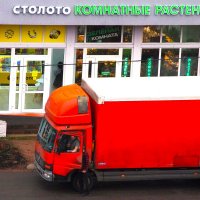 ... :: Юрий Куликов