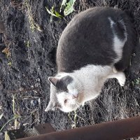 А за городом нет зимы тоже :: Венера Чуйкова