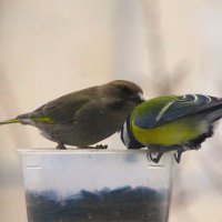 Как-то - лучше ! :: Юрий Куликов