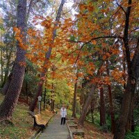 Адлер... ноябрь... :: Нина Бутко