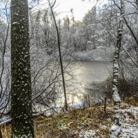 Первая пороша :: Владимир Езеров 