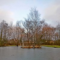 И всё-таки небо! :: Лия ☼