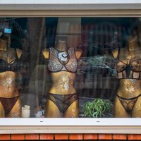 Начался декабрь. :: Анатолий. Chesnavik.