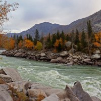 Шумит осенняя Катунь :: елена беликова