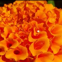 114 (176) :: CLOSE WAYS ALL