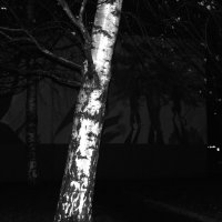 Мастер и Маргарита. :: Василий Палий