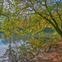 озеро Падер :: Jakob Dick