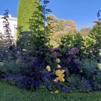 Осенние цветы :: Сапсан 