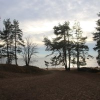 Репино :: Наталья Герасимова Репино :: Наталья Герасимова